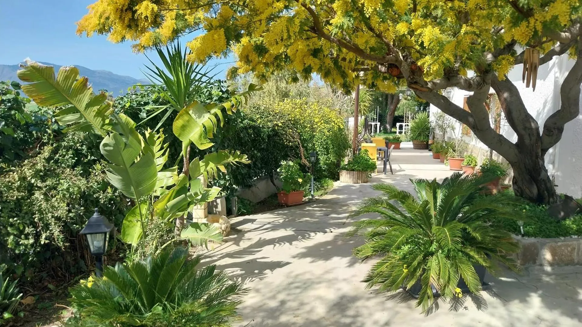 Casa Lachesi location