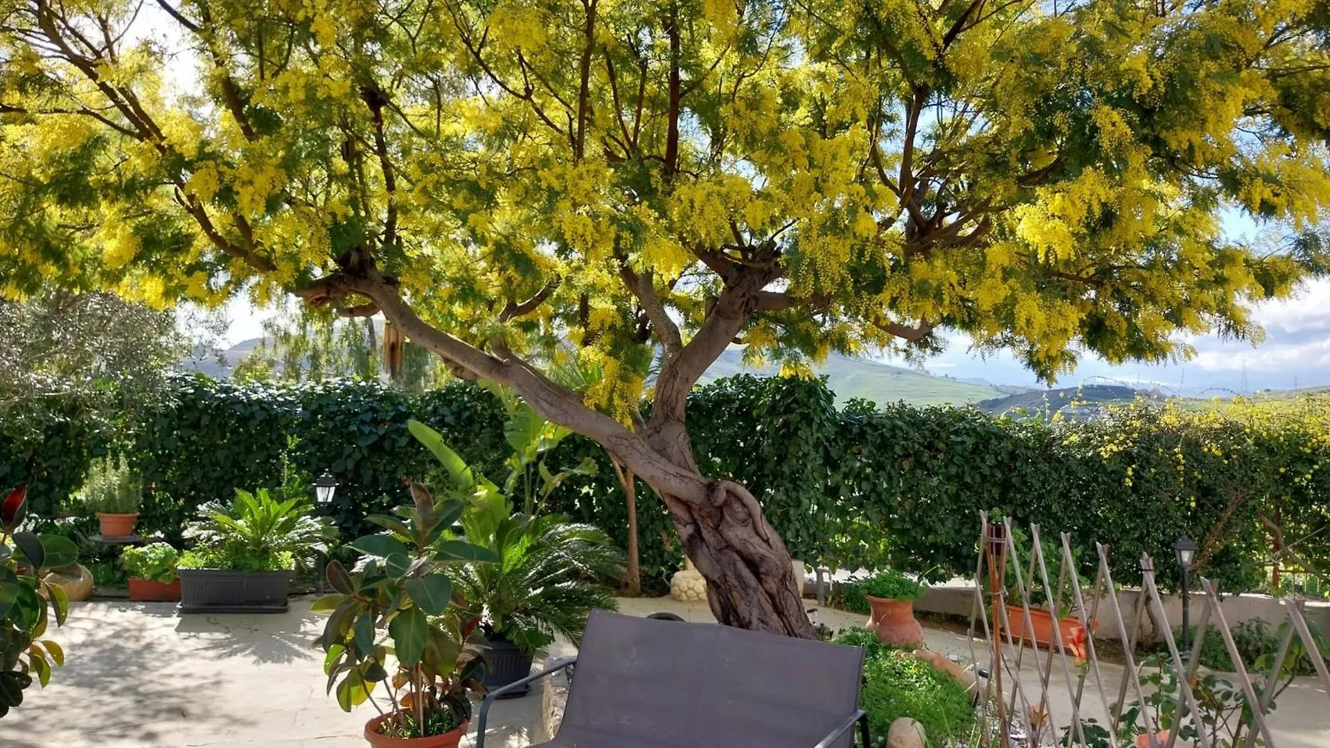 게스트하우스 Casa Lachesi Caccamo 이탈리아